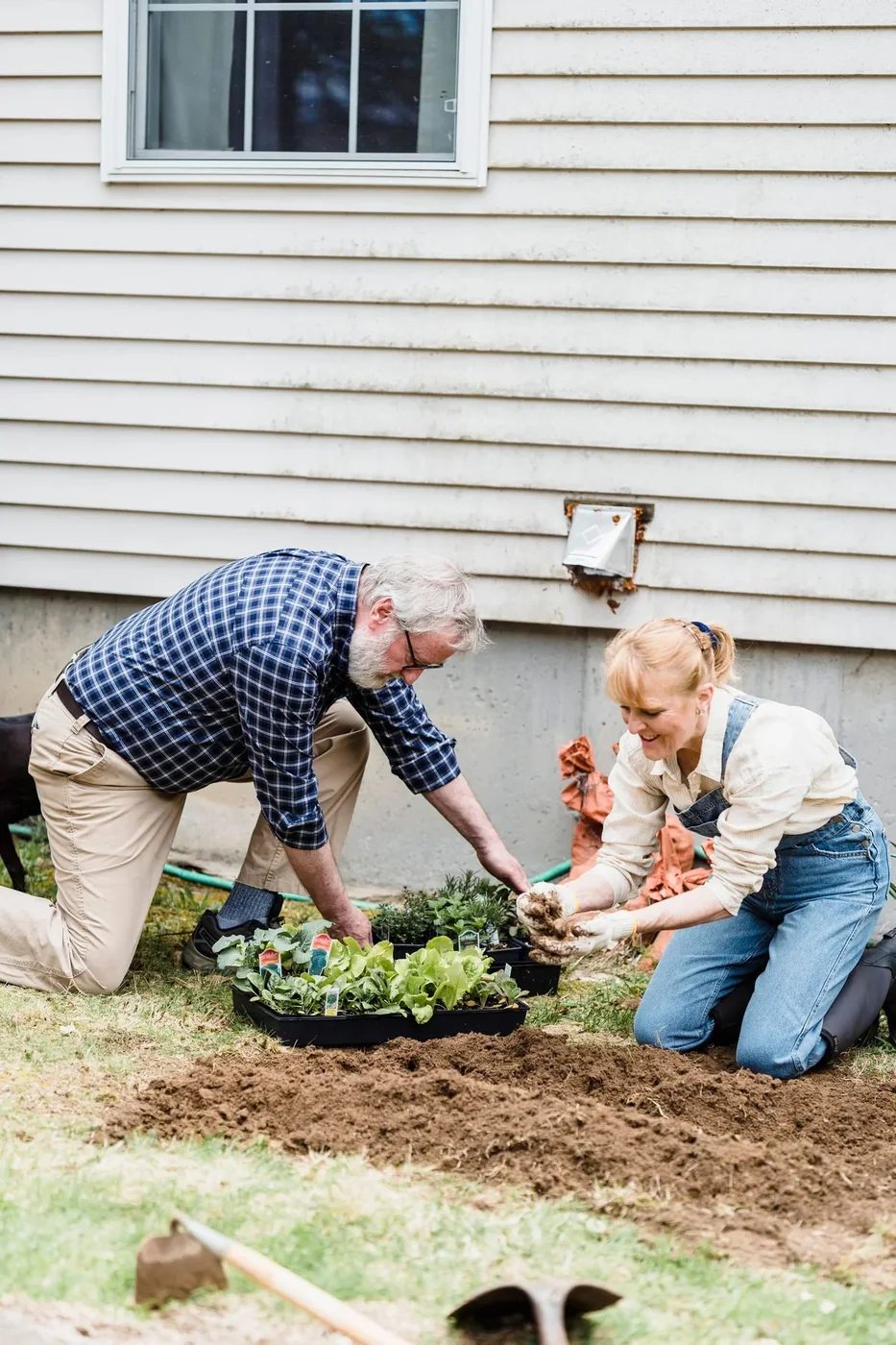 An older couple enjoying planting together in a garden