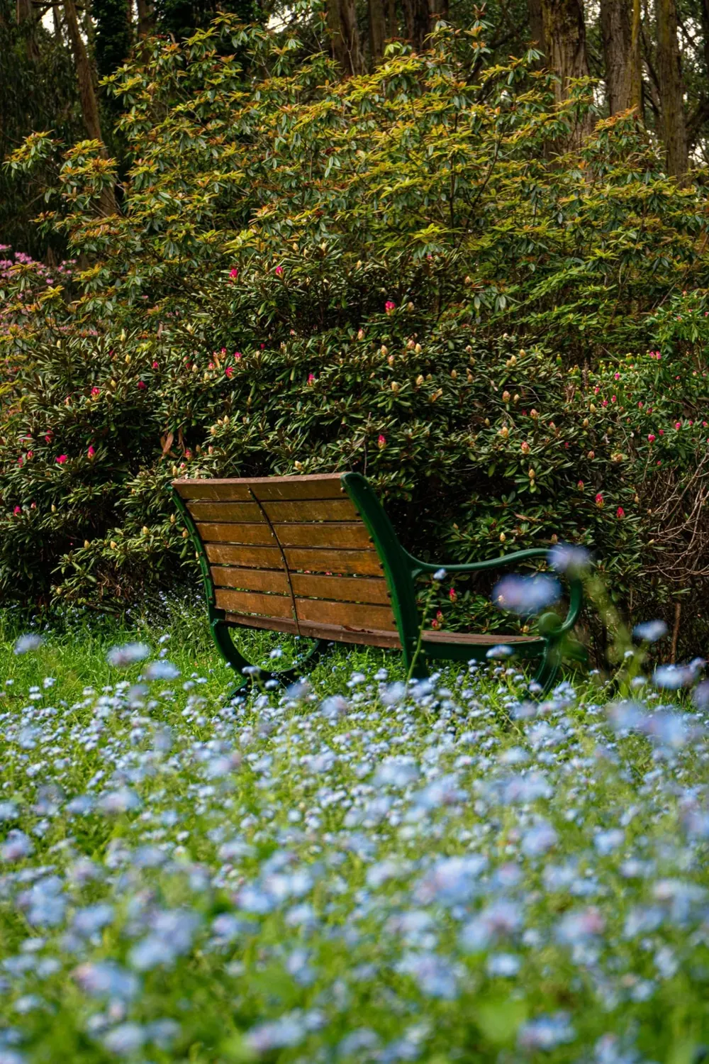 A peaceful garden bench surrounded by flowers